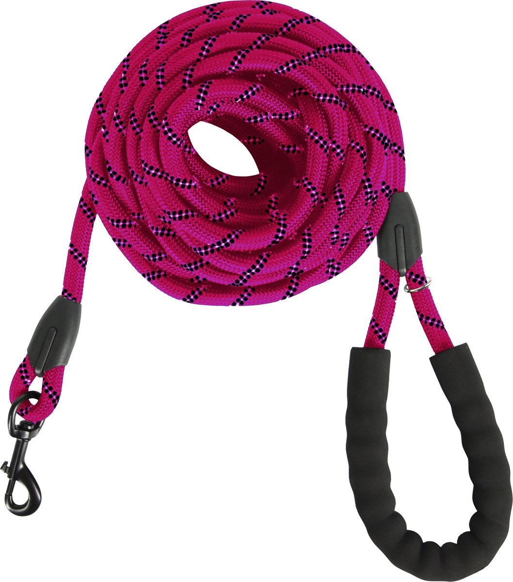 KCMultisupplies Hondenriem 8 Meter - Reflecterende Hondenlijn - Met Gevoerd Handvat - Geschikt voor Grote en Kleine Honden - Nylon Looplijn