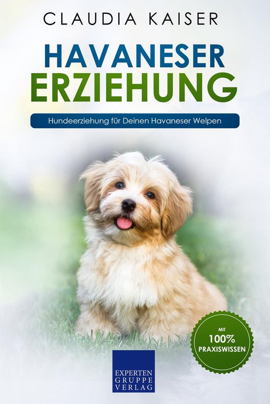 Havaneser Erziehung - cover
