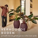 Man met koptelefoon genietend van muziek naast paarse bloempotten in een woonkamer.