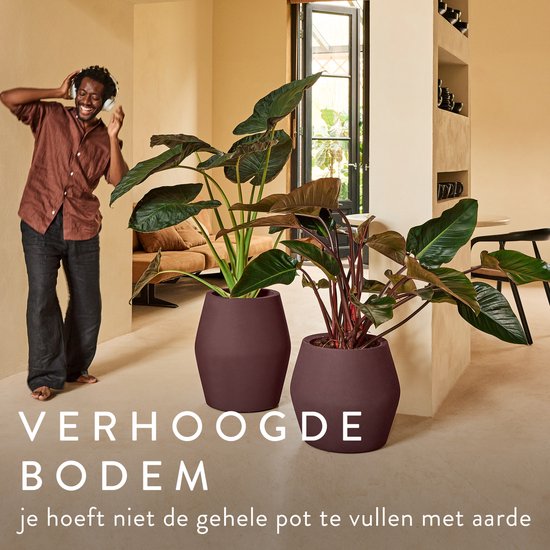 Man met koptelefoon genietend van muziek naast paarse bloempotten in een woonkamer.