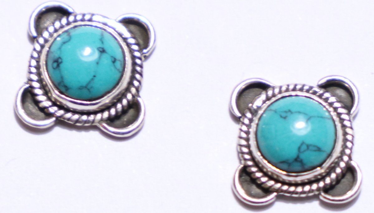 Turquoise Stud Oorbellen