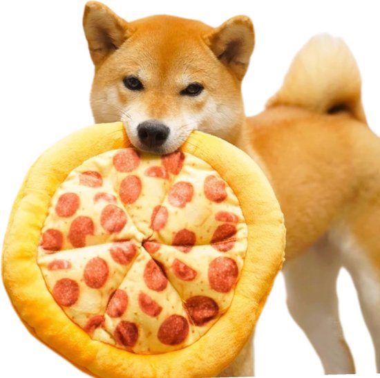 Shiba Inu met een pizzavormig speeltje in zijn bek.