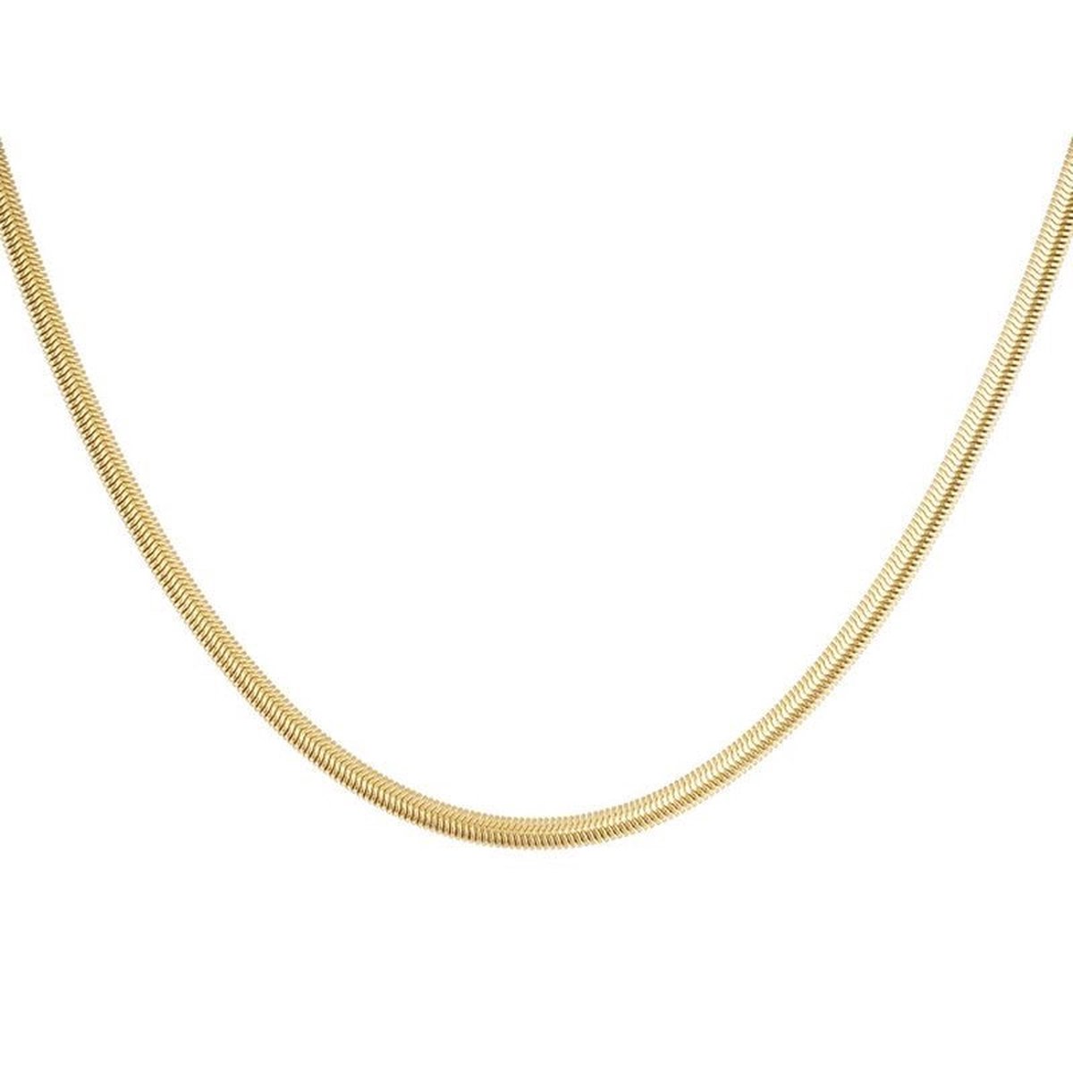 Flat Snake Chain Necklace Gold 14K 45 cm