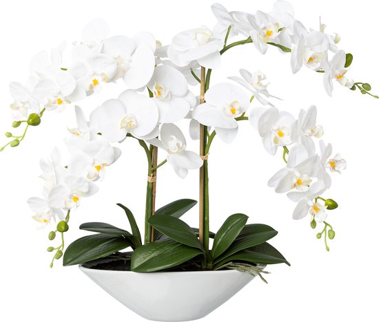 Flourify, Orchidée dans un bol en céramique, 53 cm, real touch, blanc, plante d'intérieur