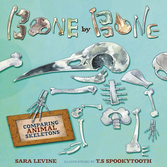 Bone by Bone - cover