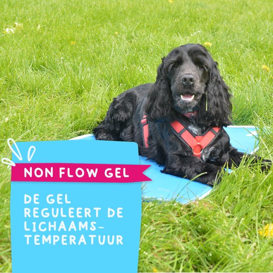 CoolPets Premium Gel Cooling Mat XL 70x120cm (COOL018XL
