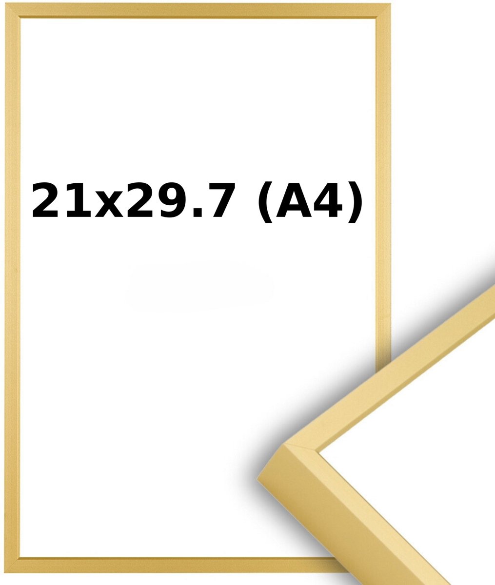 Lichtendonk Aluminium Wissellijst A4 21 x 29.7 Mat Champagne Goud - Ontspiegeld Glas - Professional
