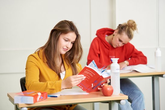 Van Dale Pocketwoordenboek Nederlands-Frans