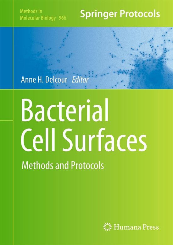Bacterial Cell Surfaces