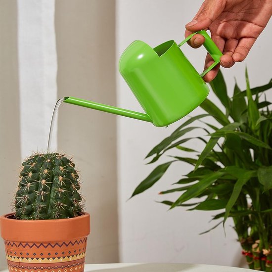 Mini arrosoir élégant Goodivery ® pour plantes d'intérieur avec bec long, 300 ml, idéal pour les bonsaïs et les Plantes d'intérieur