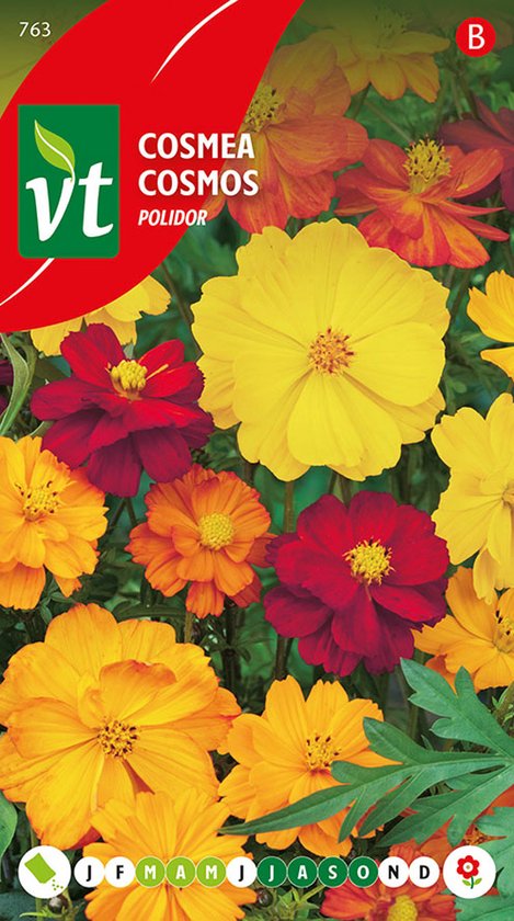 Cosmea 'Polidor' Zaden - Kleurrijke bloemenmix voor een zomerse tuin vol kleur