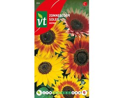 Zonnebloem 'Distino' - Robuuste, Grote Bloemen voor een Eyecatching Tuin