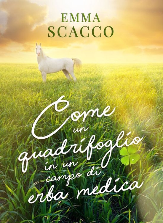 Come un quadrifoglio in un campo di erba medica