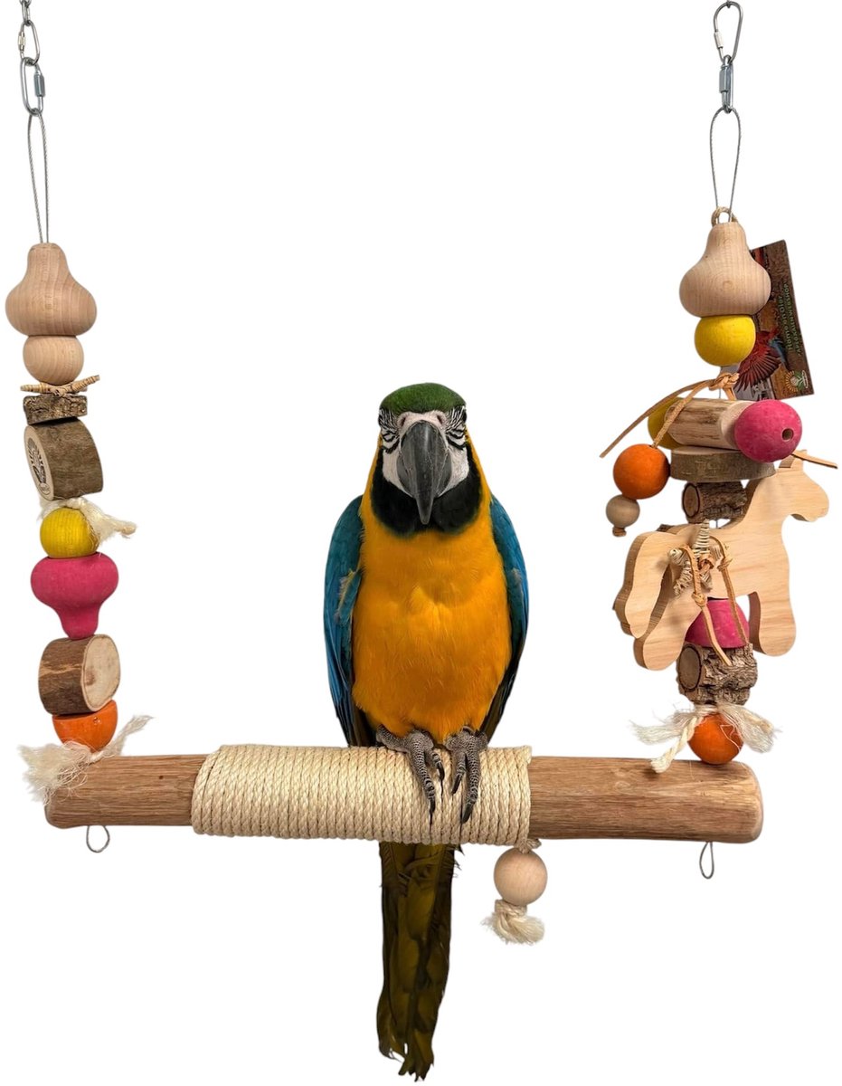 Papegaaien speelgoed -schommel - Papegaaien schommel Home en dier-Vogel speelgoed