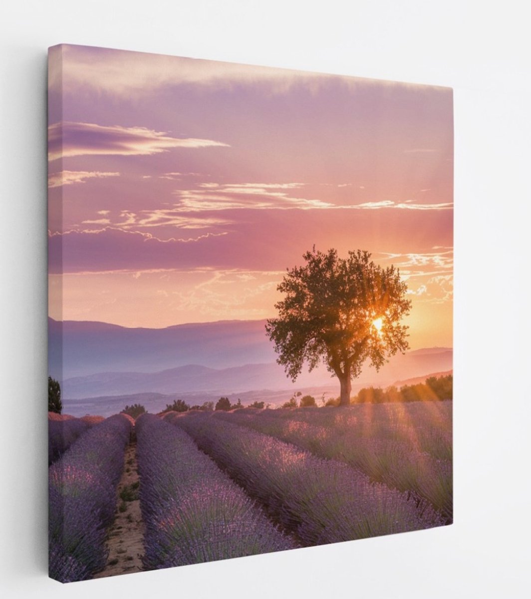 Saammp Canvas Schilderij - Lavendelveld met de zon tussen de boom - Natuur - Landschap - 30x30 - Foto op canvas - Wanddecoratie - Muurdecoratie Woonkamer - Slaapkamer decoratie - Canvas Print Multicolor