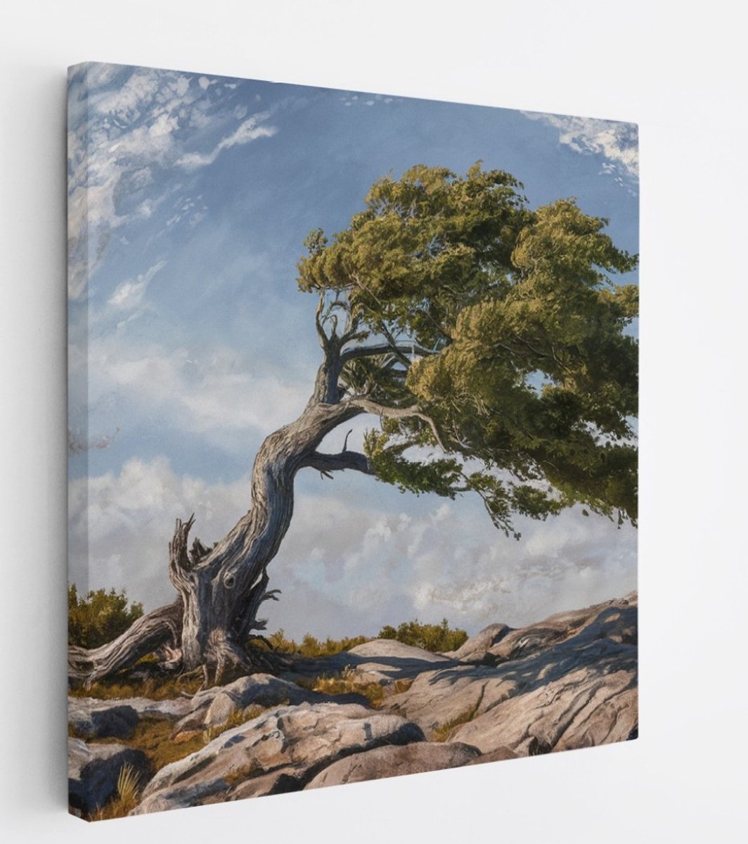 Saammp Canvas Schilderij - Vintage boom - Abstract - Landschap - Natuur - 60x60 - Foto op canvas - Wanddecoratie - Muurdecoratie Woonkamer - Slaapkamer decoratie - Canvas Print Multicolor
