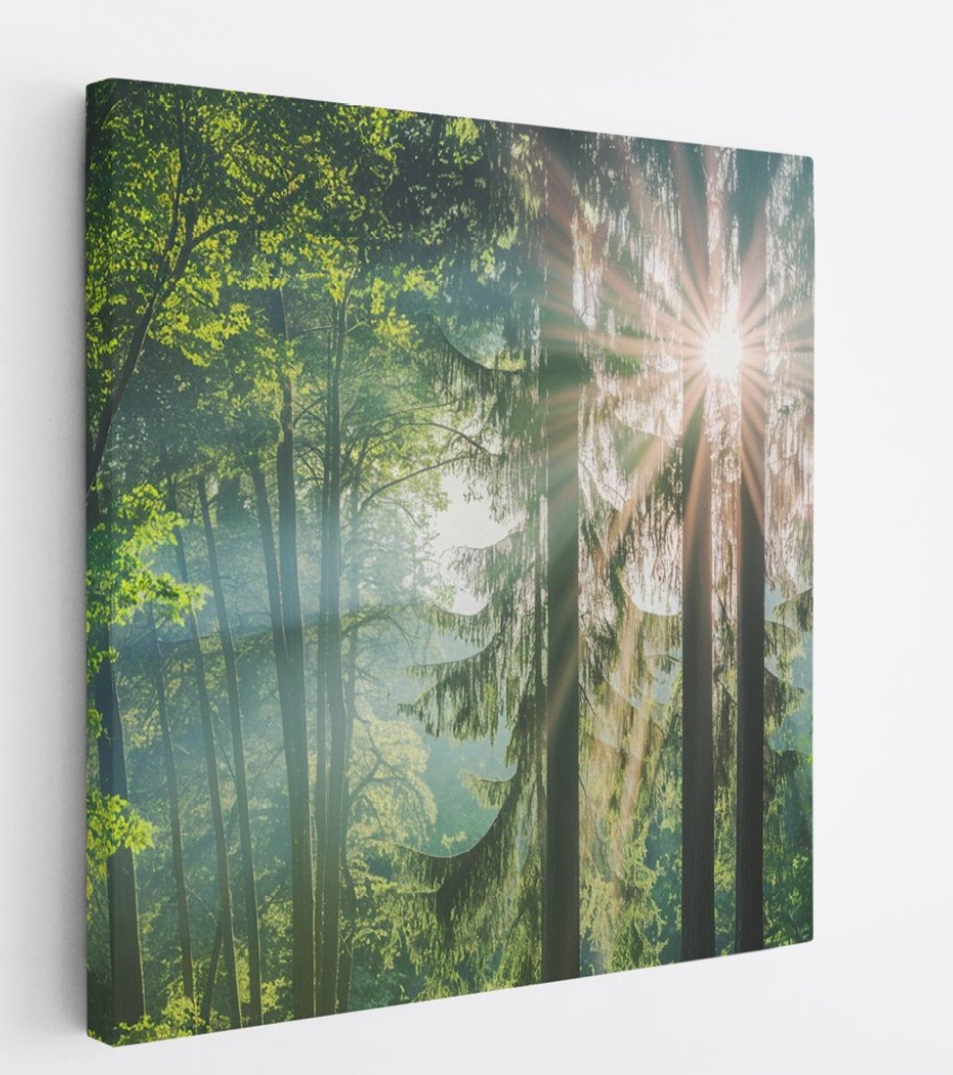 Saammp Canvas Schilderij - Zon tussen de bomen - Bos - Landschap - Natuur - 20x20 - Foto op canvas - Wanddecoratie - Muurdecoratie Woonkamer - Slaapkamer decoratie - Canvas Print Multicolor