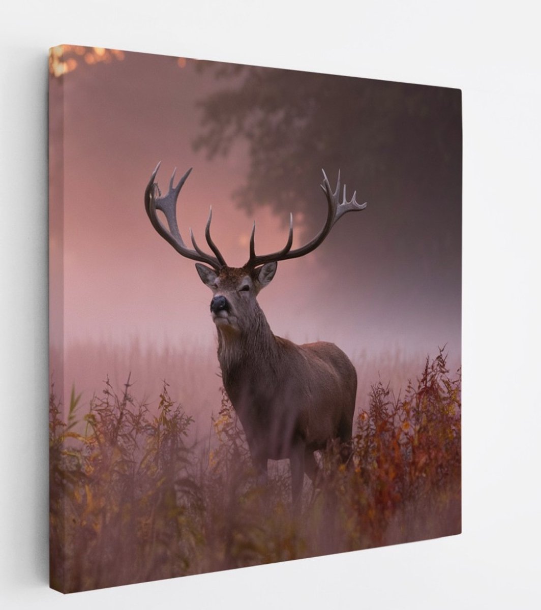 Saammp Canvas Schilderij - hert met zonsopgang in de mist - Natuur - Dieren - 40x40 - Foto op canvas - Wanddecoratie - Muurdecoratie Woonkamer - Slaapkamer decoratie - Canvas Print Multicolor