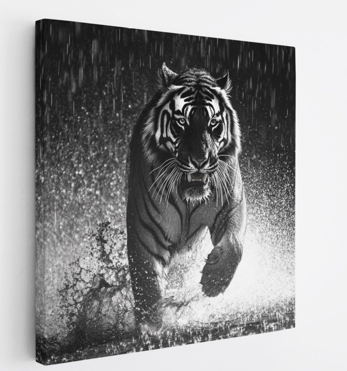 Saammp Canvas Schilderij - Tijger in de regen - Natuur - Dieren - 100x100 - Foto op canvas - Wanddecoratie - muurdecoratie Woonkamer - Slaapkamer decoratie - Canvas Print Multicolor