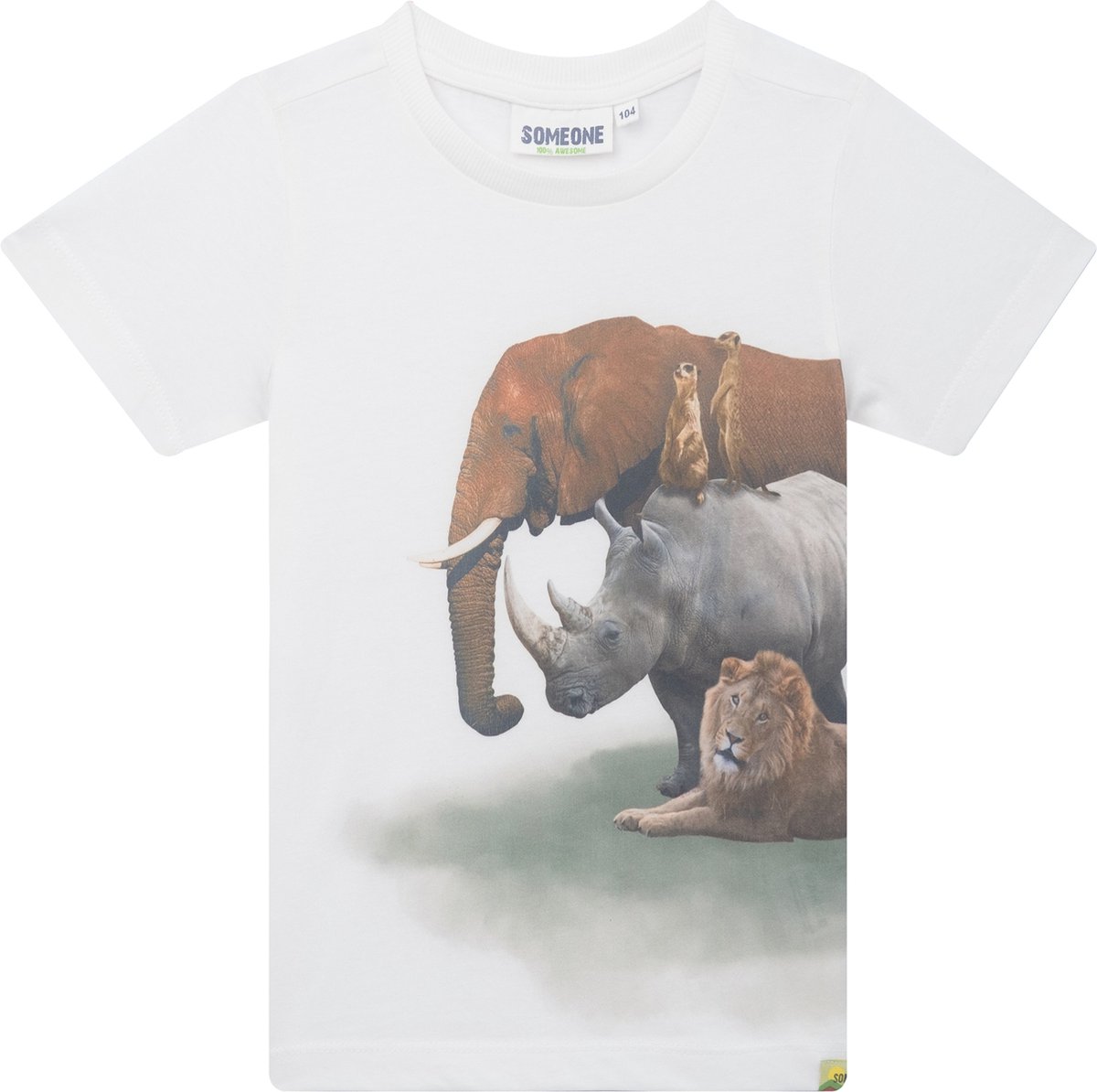DRIES-SB-02-B