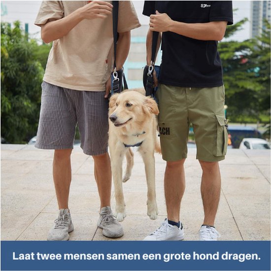 Hondentuigje, huisdierondersteuning, hondenliftondersteuning voor honden, revalidatietuigje, mobiliteitstuig, sling-gordel voor oud, gewrichtsletsel, artritis, verlies van stabiliteit bij honden Hondentuigje, huisdierondersteuning, hondenliftondersteuning voor honden, revalidatietuigje, mobiliteitstuig, sling-gordel voor oud, gewrichtsletsel, artritis, verlies van stabiliteit bij honden