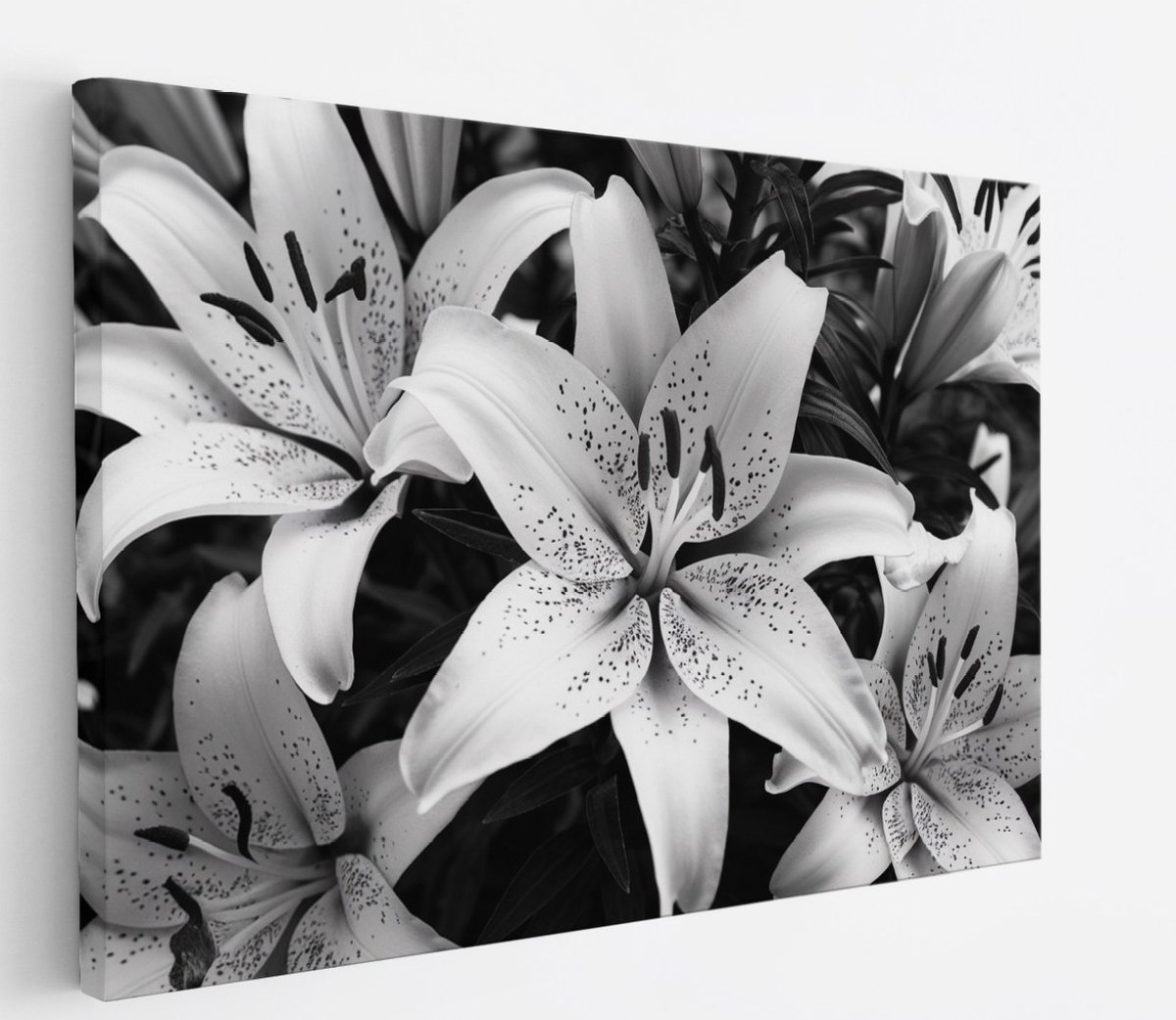 Saammp Canvas Schilderij - Bloemen - Witte Lelies - Natuur - Abstract - 50x40 - Foto op canvas - Wanddecoratie - Muurdecoratie Woonkamer - Kantoor Decoratie Multicolor