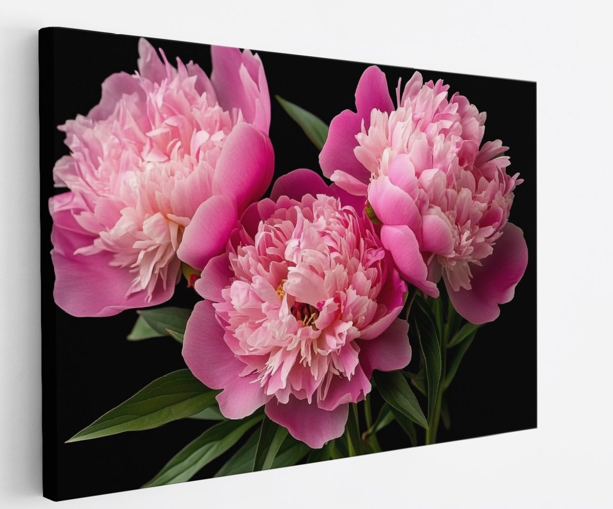 Saammp Canvas Schilderij - 3 roze bloemen - Natuur - Abstract - 120x80 - Foto op canvas - Wanddecoratie - Muurdecoratie Woonkamer - Woonkamer Decoratie Multicolor