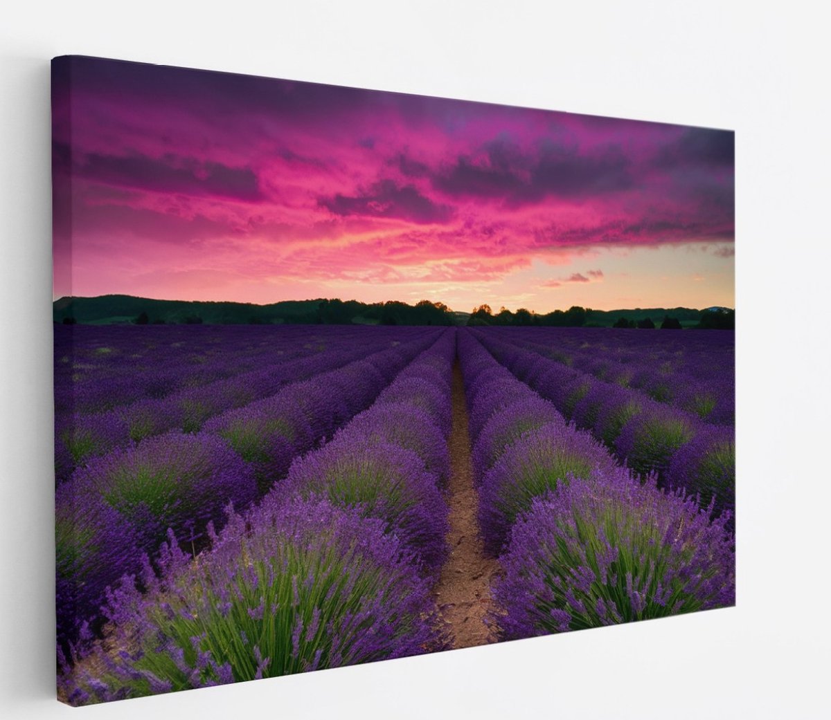 Saammp Canvas Schilderij - Lavendel met paarse lucht - Landschap - Natuur - 120x80 - Foto op canvas - Wanddecoratie - Muurdecoratie Woonkamer - Slaapkamer decoratie - Canvas Print Multicolor