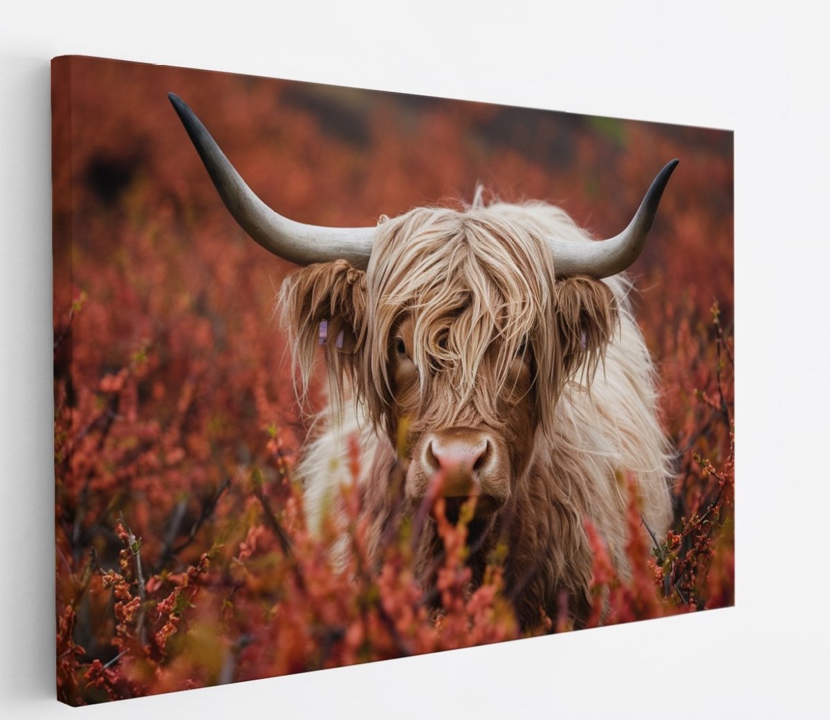 Saammp Canvas Schilderij - Schotse Hooglander Koeien in de sneeuw - Landschap - Dieren - Natuur - 60x40 - Foto op canvas - Wanddecoratie - muurdecoratie Woonkamer - Slaapkamer decoratie - Canvas Print Multicolor