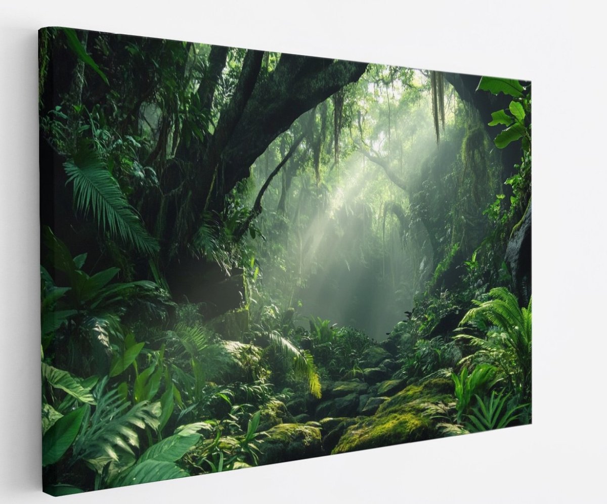 Saammp Canvas Schilderij - Natuur - Jungle - landschap - 60x40 - Foto op canvas - Wanddecoratie - Muurdecoratie Woonkamer - Slaapkamer decoratie - Canvas Print Multicolor