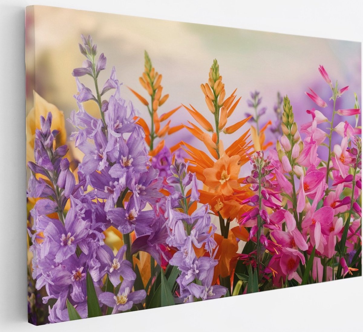 Saammp Canvas Schilderij - Vrolijke bloemencompositie - Kleurrijk - Natuur - Abstract - 30x20 - Foto op canvas - Wanddecoratie - Muurdecoratie Woonkamer - Kantoor Decoratie Multicolor