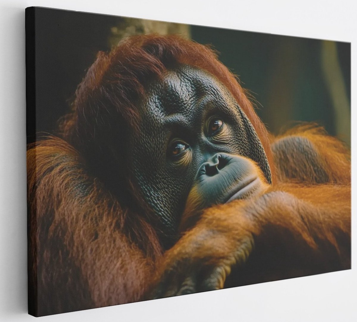 Saammp Canvas Schilderij - Orang oetan - Abstract - Dier - 30x20 - Foto op canvas - Wanddecoratie - Muurdecoratie Woonkamer - Slaapkamer decoratie - Canvas Print Multicolor