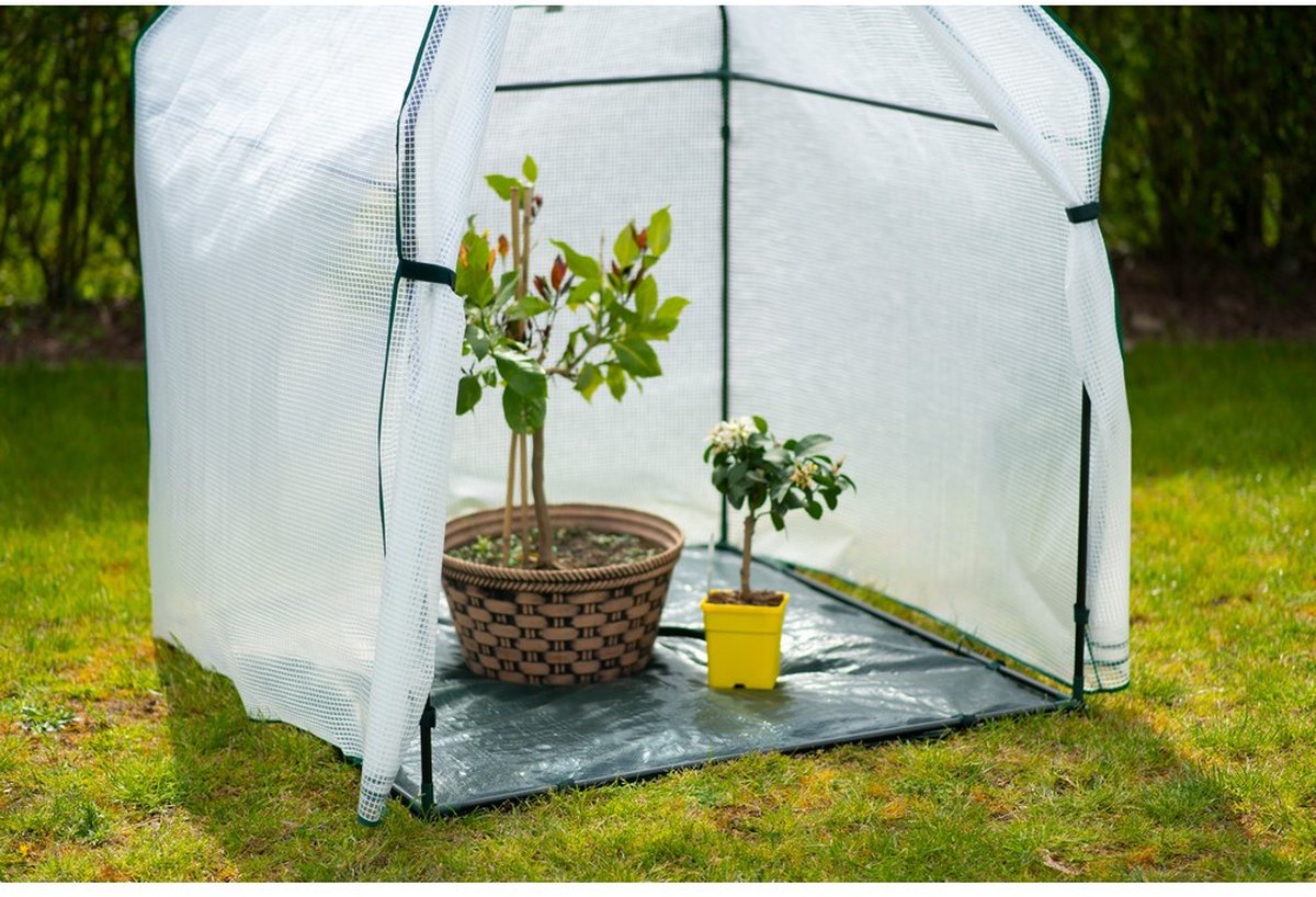 Westmann Chili housse d’hivernage pour plantes
