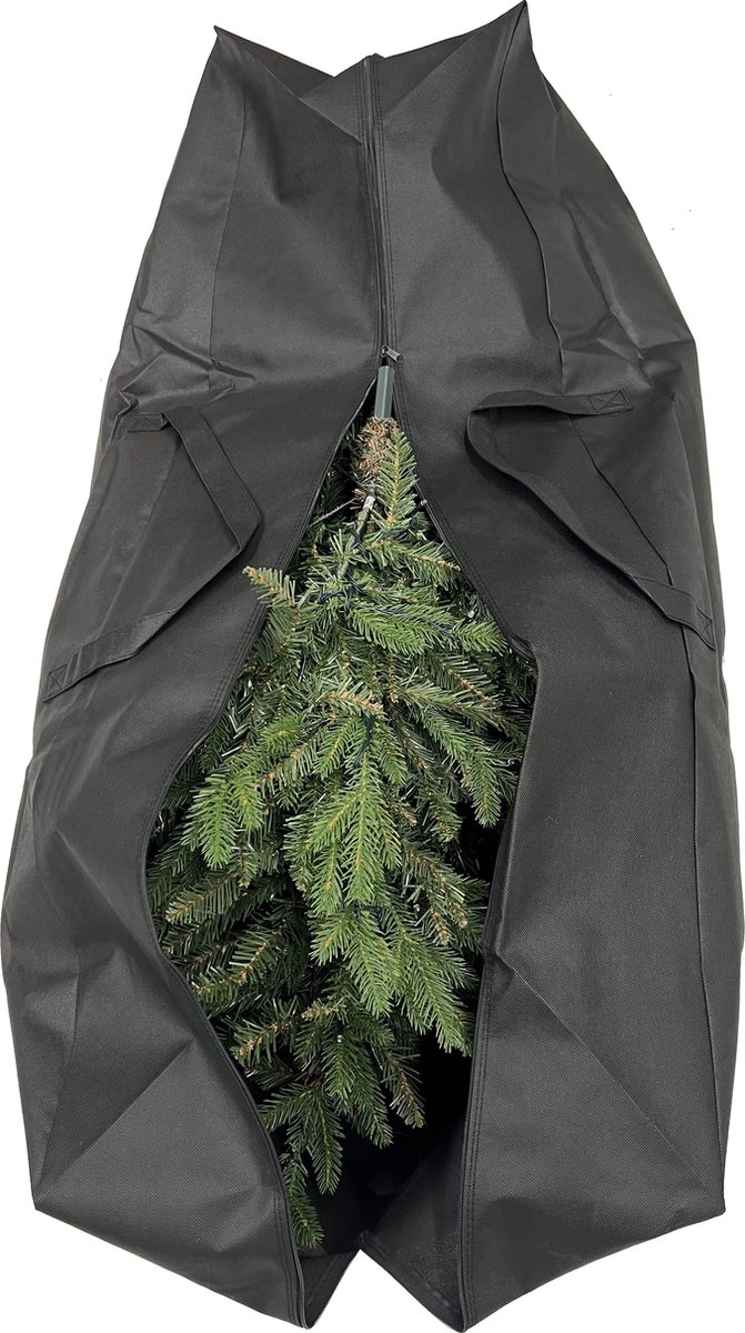 Duurzame feestdagen: zo houd je een kerstboom langer mooi