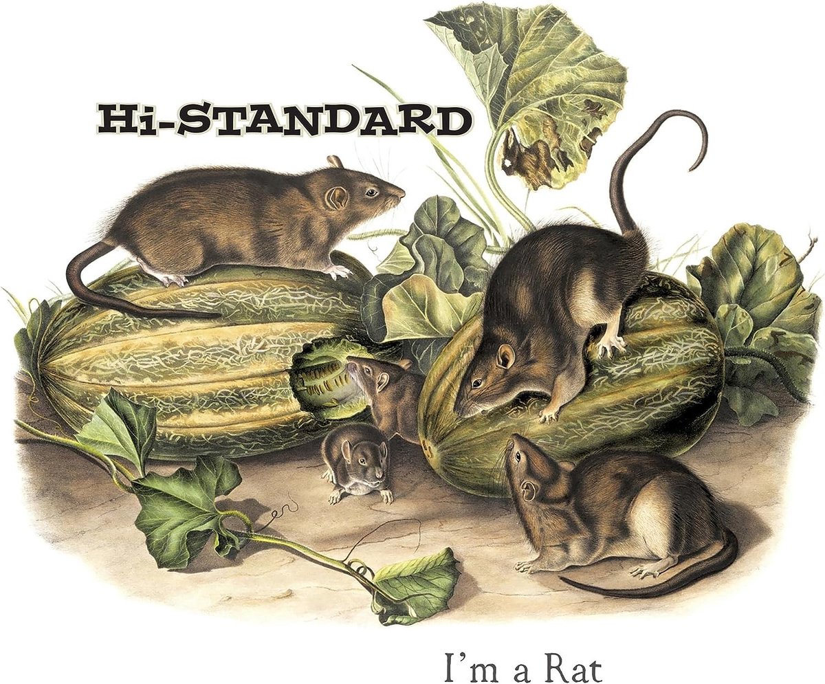 Hi-Standard - I'm A Rat (7" Single) (PICTURE DISC)