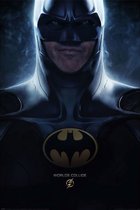 Poster The Flash Batman World Collide 61x91,5cm