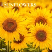 Sunflowers Kalender 2024