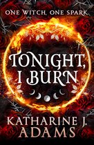 Untitled Katharine J. Adams Series 1 - Tonight, I Burn