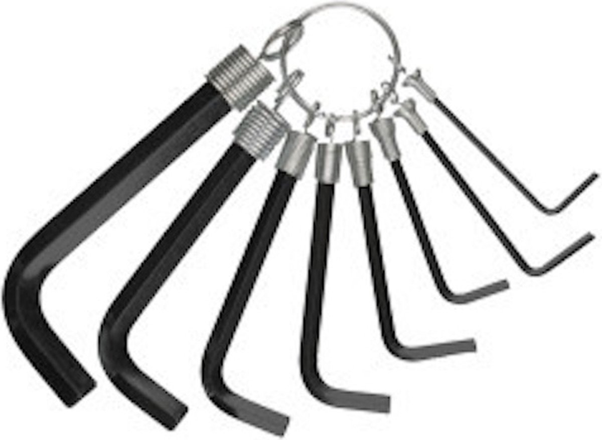 Set Inbussleutels aan Ring 8 stuks HEX