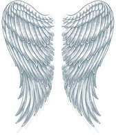 XL Tattoo Sleeve - Wings