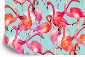 Fotobehang Flamingo's - Vliesbehang - 360 x 240 cm