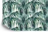 Fotobehang Palm Bladeren - Vliesbehang - 368 x 280 cm