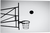 Acrylglas - Bal Vallend in Basket (Zwart-wit) - 75x50 cm Foto op Acrylglas (Met Ophangsysteem)
