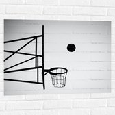 Muursticker - Bal Vallend in Basket (Zwart-wit) - 80x60 cm Foto op Muursticker