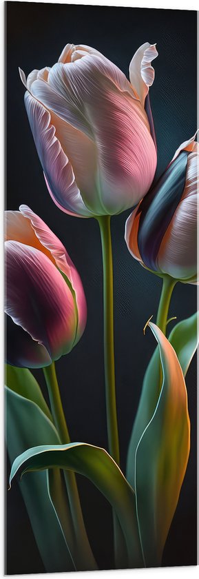 Acrylglas - Roze tulpen voor een zwarte achtergrond - Bloemen - 50x150 cm Foto op Acrylglas (Wanddecoratie op Acrylaat)