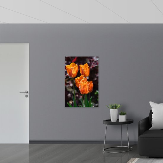 Dibond - Papegaai tulpen oranje gekleurd met donker gekleurde achtergrond - Bloemen - 70x105 cm Foto op Aluminium (Wanddecoratie van metaal)