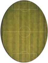 Dibond Ovaal - Bovenaanzicht van Groen Voetbalveld - 42x56 cm Foto op Ovaal (Met Ophangsysteem)