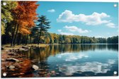 Tuinposter – Bomen - Bos - Meer - Water - Kleuren - 75x50 cm Foto op Tuinposter (wanddecoratie voor buiten en binnen)