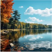Poster (Mat) - Bomen - Bos - Meer - Water - Kleuren - 80x80 cm Foto op Posterpapier met een Matte look