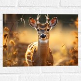 Muursticker - Klein Hertje in het Zonlicht in het Bos - 40x30 cm Foto op Muursticker